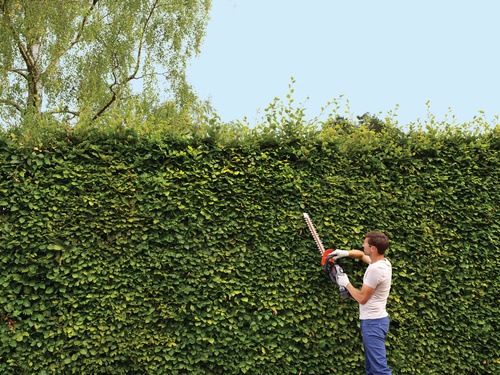Black and Decker - 54V DUALVOLT AkkuHeckenschere - GTC5455PC